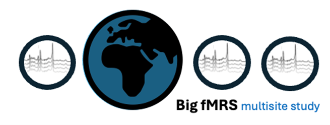 Big fMRS Logo